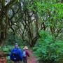 Heading down Jepson Trail.